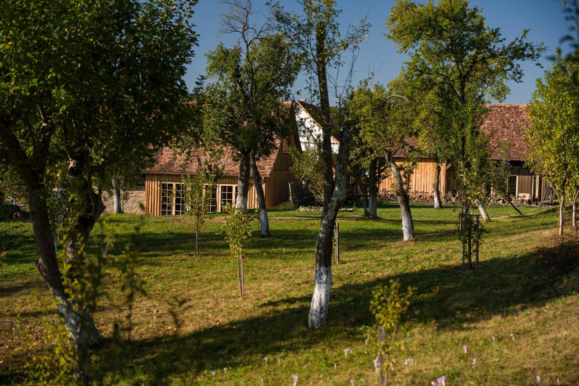 Mesendorf Gasthaus Exterior photo